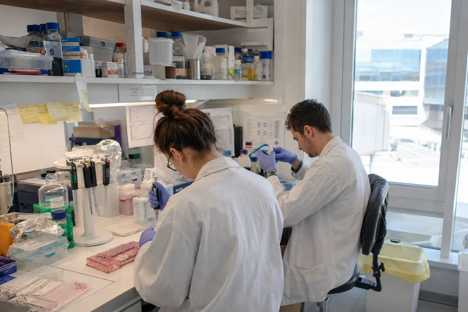 Cachexie cancéreuse : découverte d'un mécanisme biologique inédit