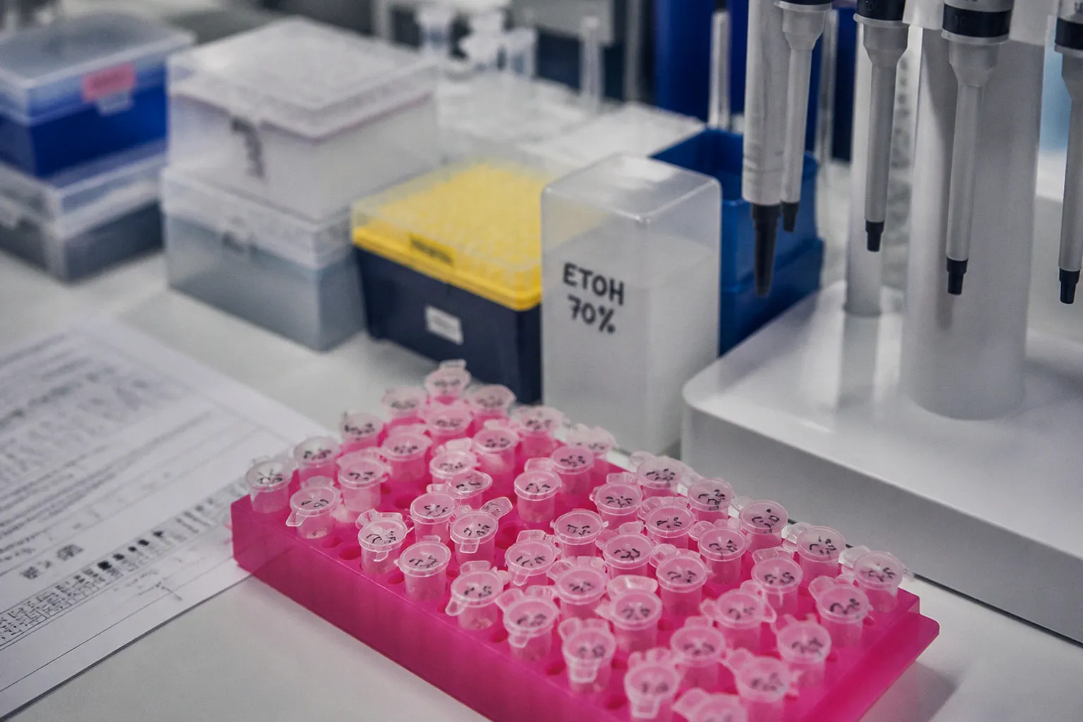 Cancer du sein : pourquoi la recherche scientifique reste notre meilleur espoir