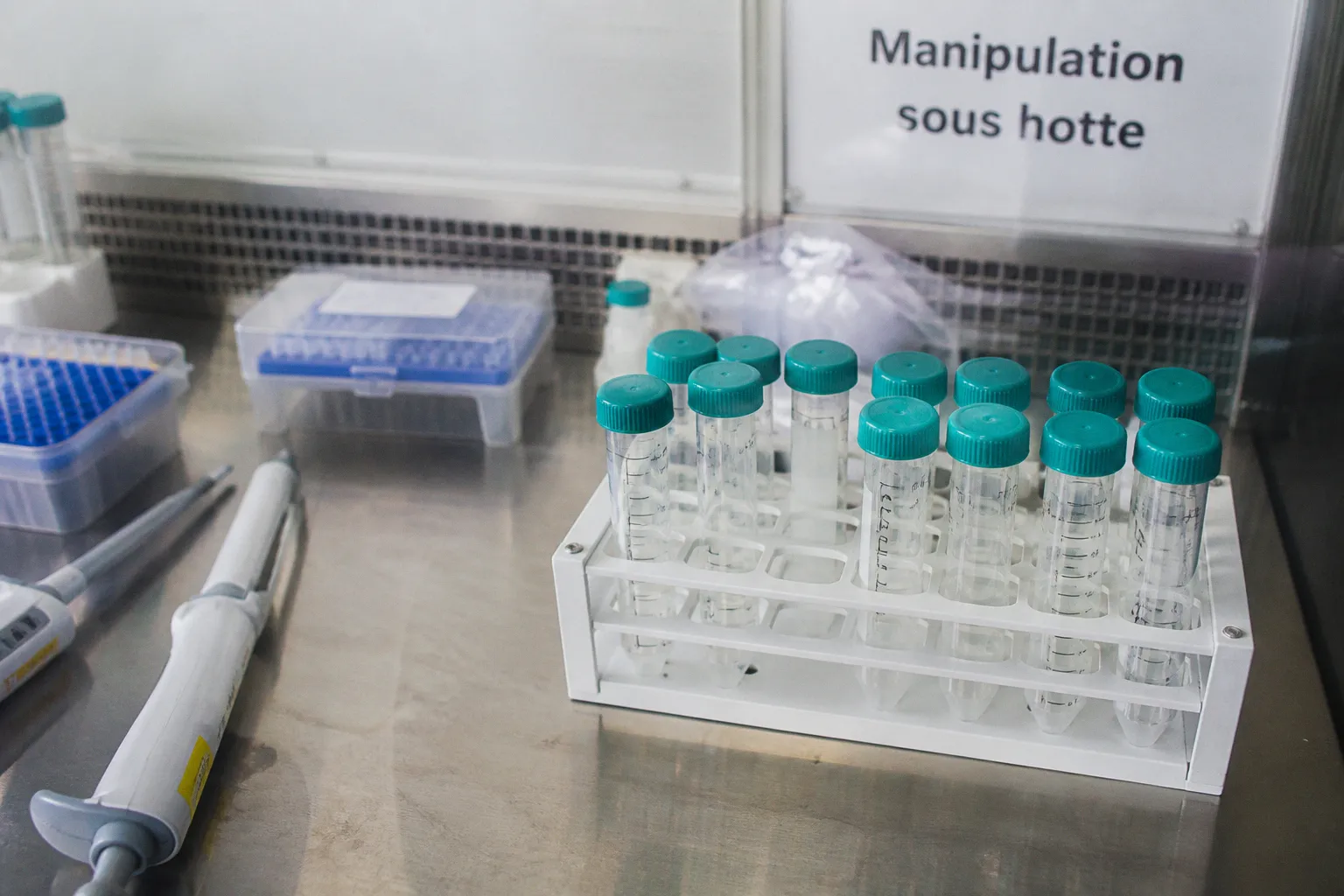 Cancers du sein hormonosensibles : l'espoir des nouveaux dégradateurs sélectifs