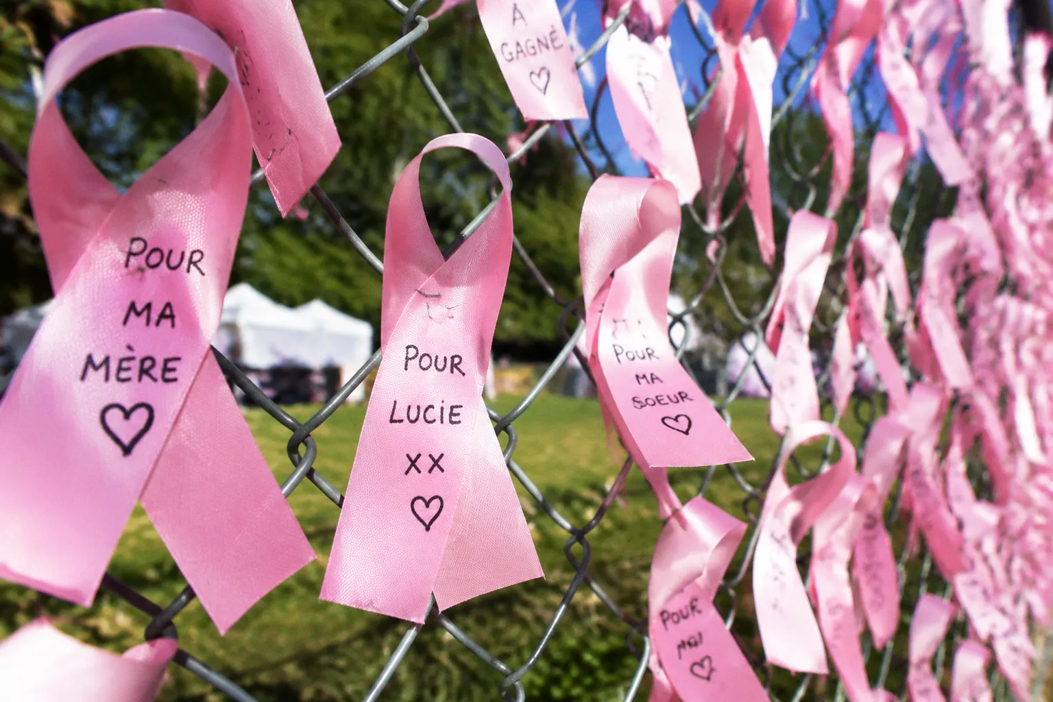 Course à la vie CIBC : 35 ans de mobilisation contre le cancer du sein